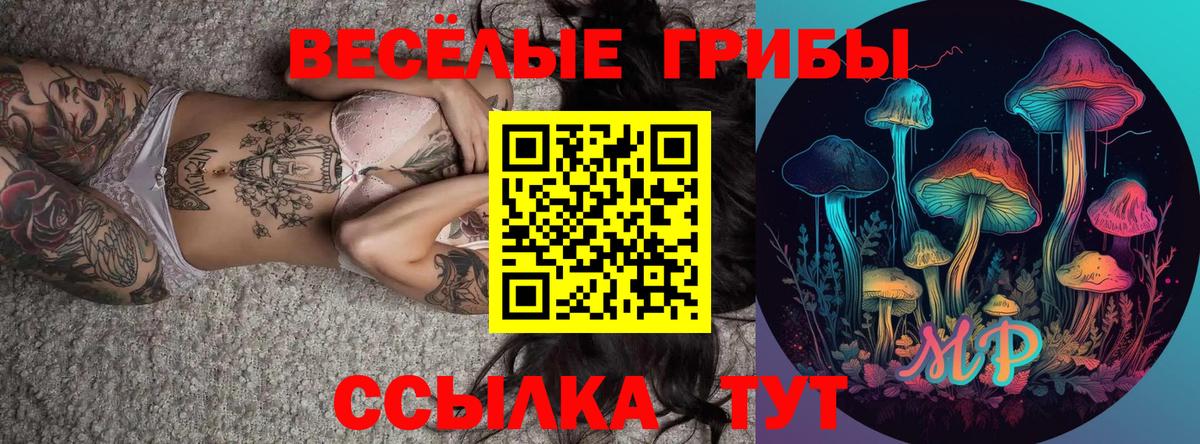 Псилоцибиновые грибы Cubensis Кириши
