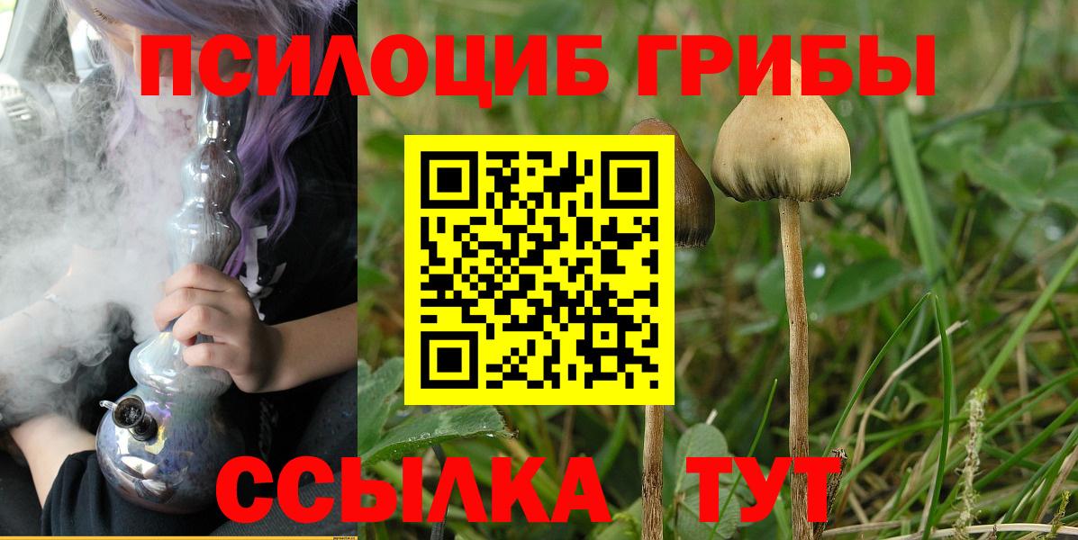 Кириши  наркота  Вход с VPN  Псилоцибиновые грибы GOLDEN TEACHER 